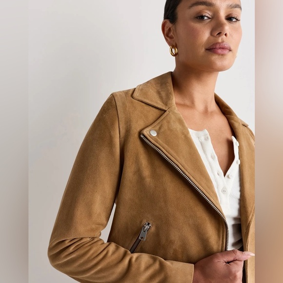 Quince 100% Suede Biker Jacket in XS pecan brown - Picture 16 of 16